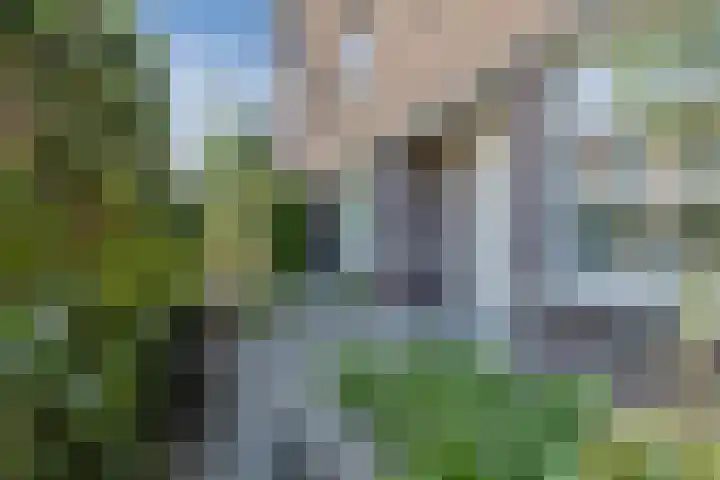 Tweede Westerparklaan 128 Utrecht thumbnail 5