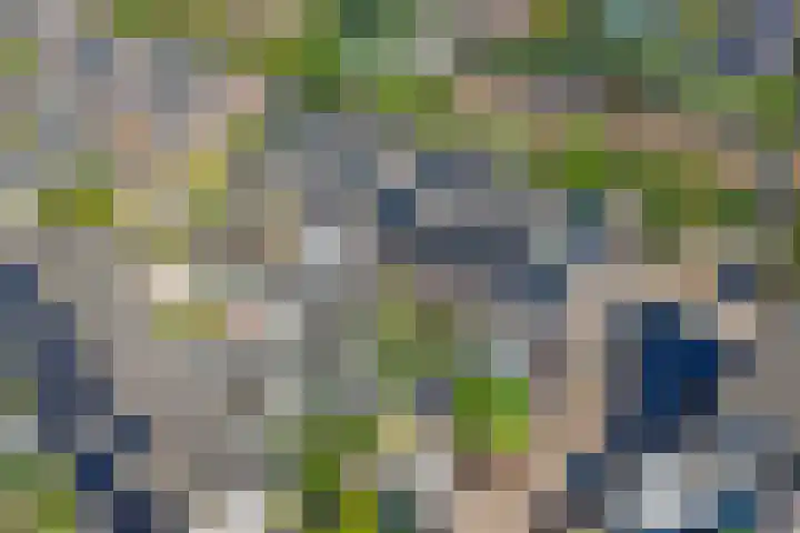 Tweede Westerparklaan 128 Utrecht thumbnail 57