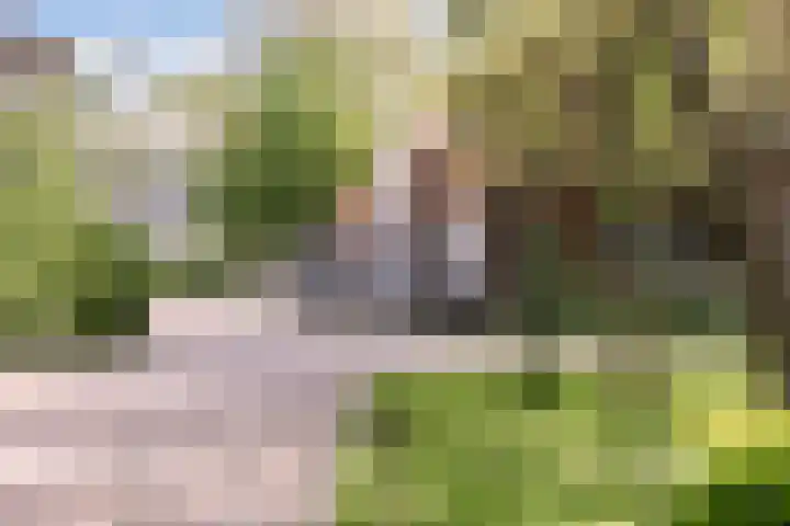 Tweede Westerparklaan 128 Utrecht thumbnail 62