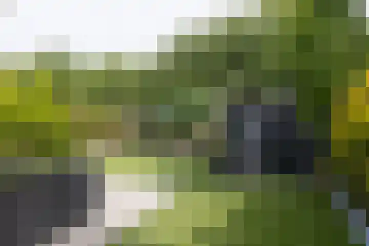 Tweede Westerparklaan 153 Utrecht thumbnail 31
