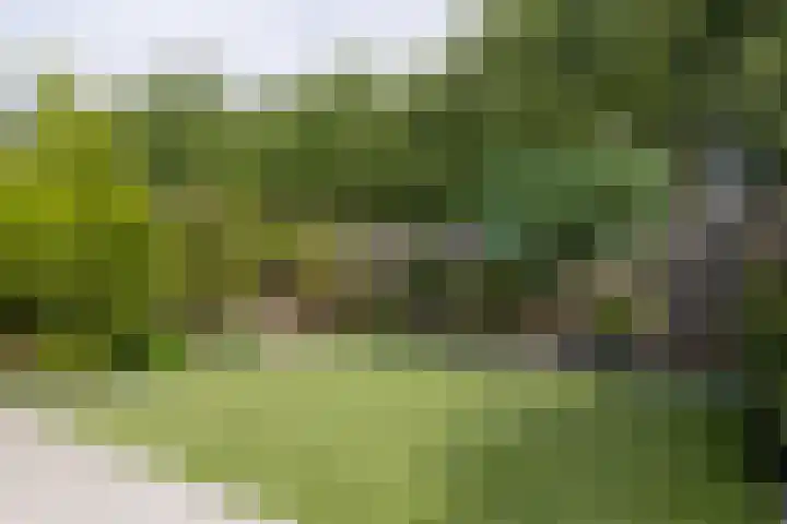 Tweede Westerparklaan 153 Utrecht thumbnail 32