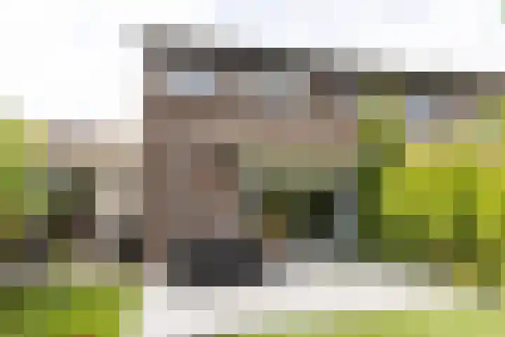 Tweede Westerparklaan 153 Utrecht thumbnail 33