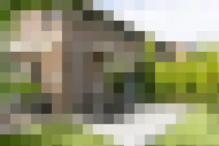 Tweede Westerparklaan 153 Utrecht thumbnail 34
