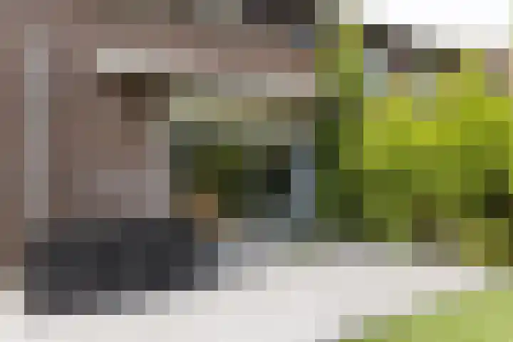 Tweede Westerparklaan 153 Utrecht thumbnail 36
