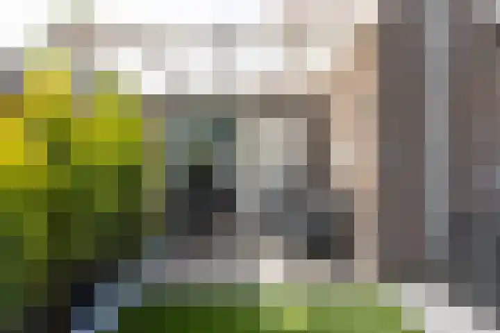 Tweede Westerparklaan 153 Utrecht thumbnail 37