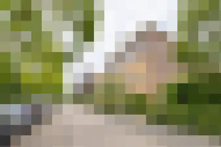 Tweede Westerparklaan 153 Utrecht thumbnail 40