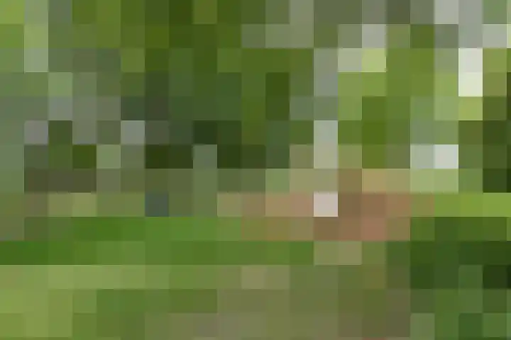 Tweede Westerparklaan 153 Utrecht thumbnail 41