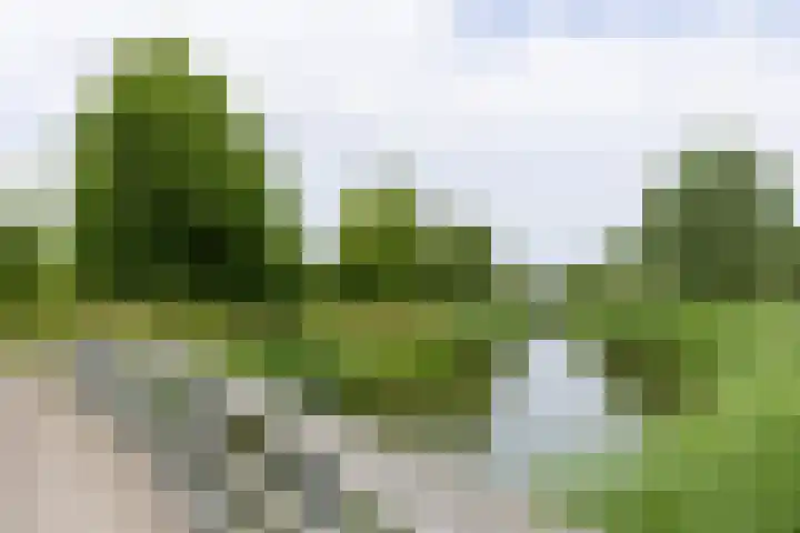 Tweede Westerparklaan 153 Utrecht thumbnail 42
