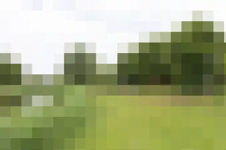 Tweede Westerparklaan 153 Utrecht thumbnail 43