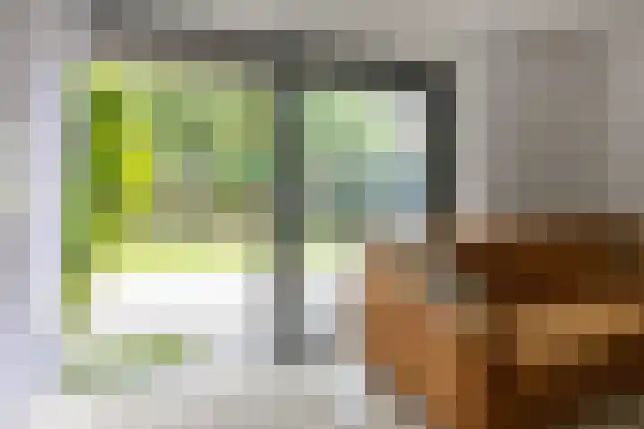 Tweede Westerparklaan 153 Utrecht thumbnail 7