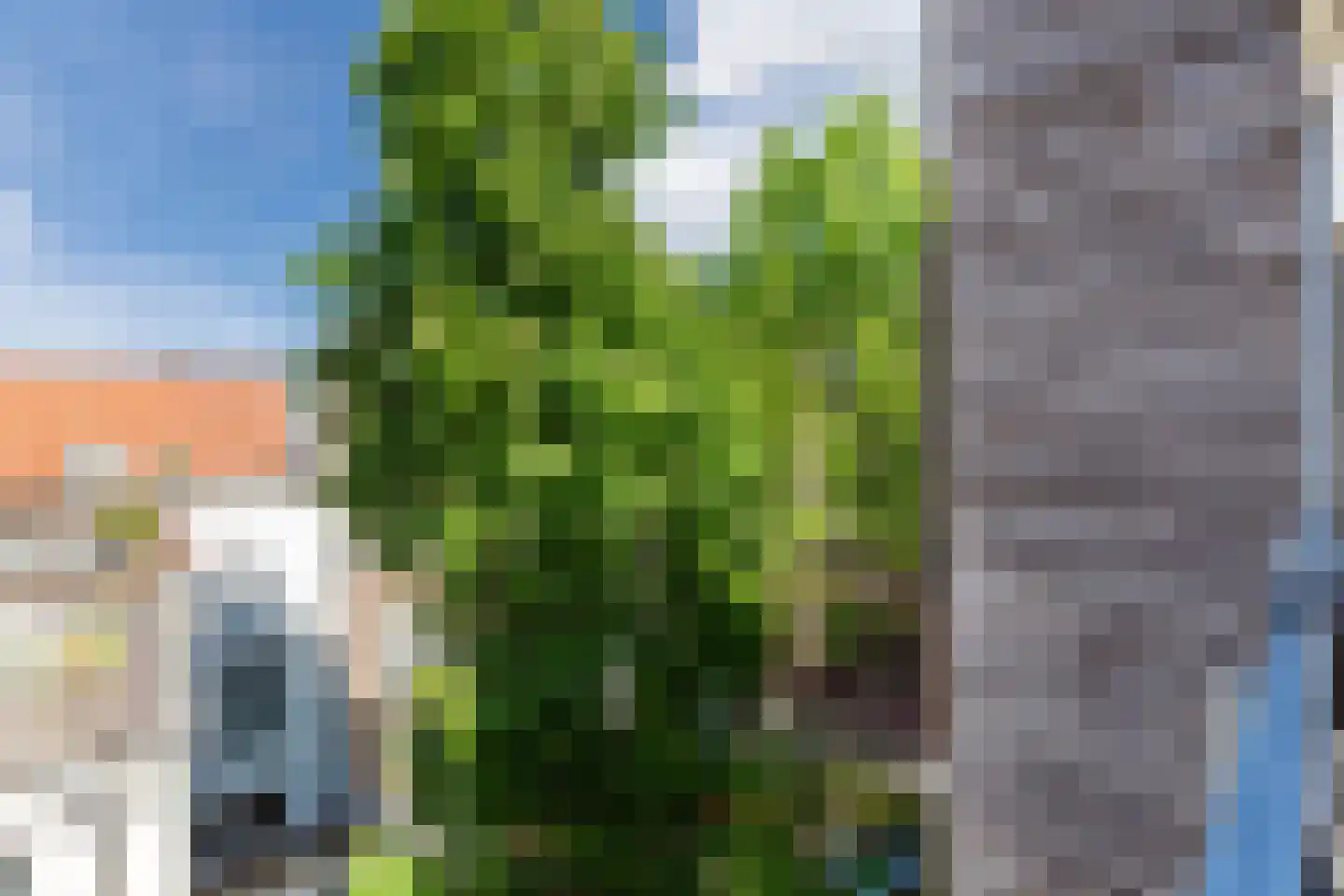 Tweede Weteringdwarsstraat 35 1 Amsterdam thumbnail 24