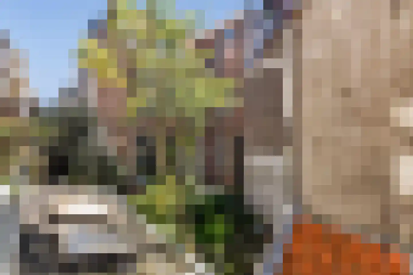Tweede Weteringdwarsstraat 44 2 Amsterdam thumbnail 10