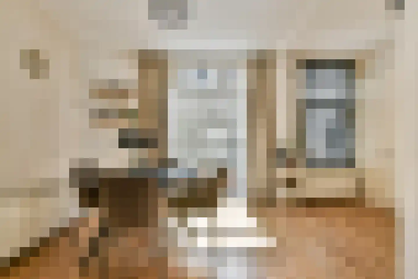 Tweede Weteringdwarsstraat 44 2 Amsterdam thumbnail 4