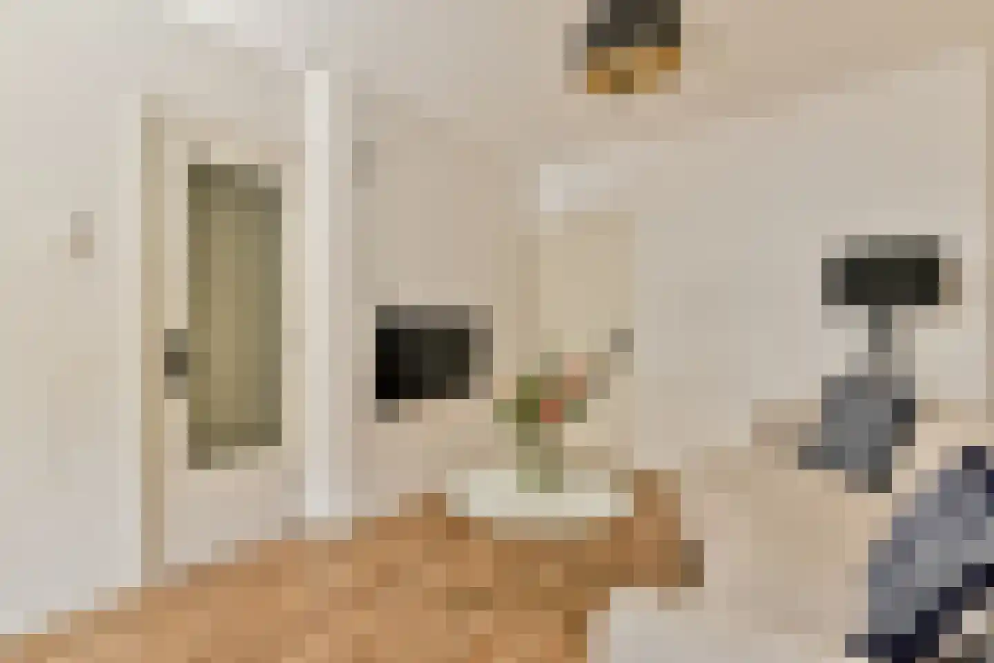 Tweede Weteringdwarsstraat 44 2 Amsterdam thumbnail 5