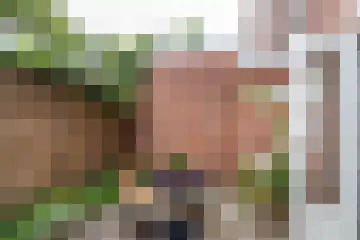 Tweede Willemstraat 14 Groningen thumbnail 34