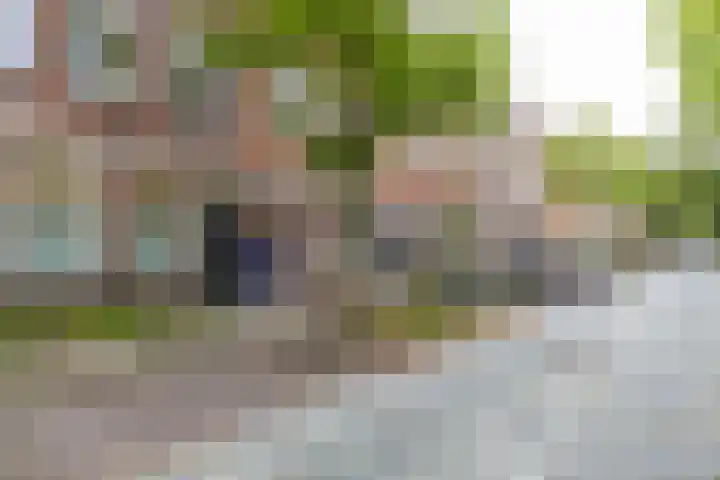 Tweede Willemstraat 14 Groningen thumbnail 37