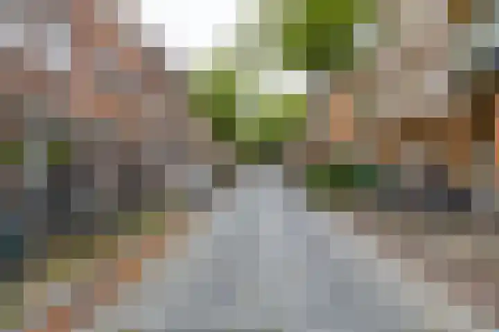 Tweede Willemstraat 14 Groningen thumbnail 38