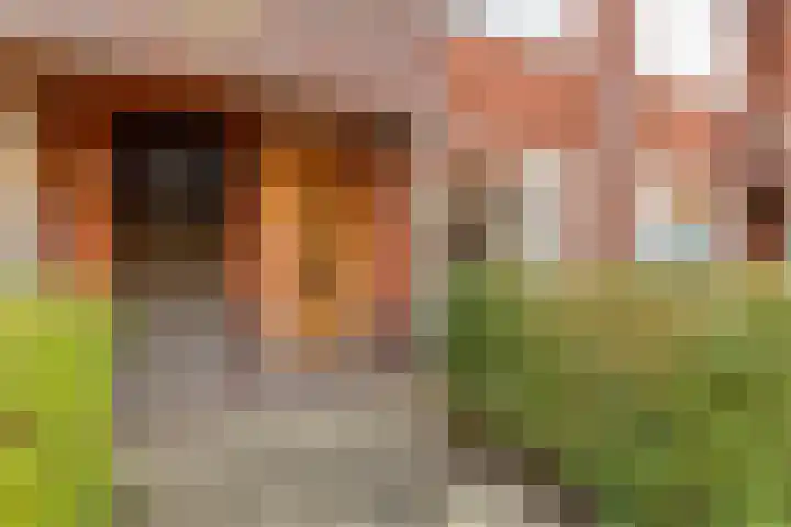 Tweede Willemstraat 33 Groningen thumbnail 8