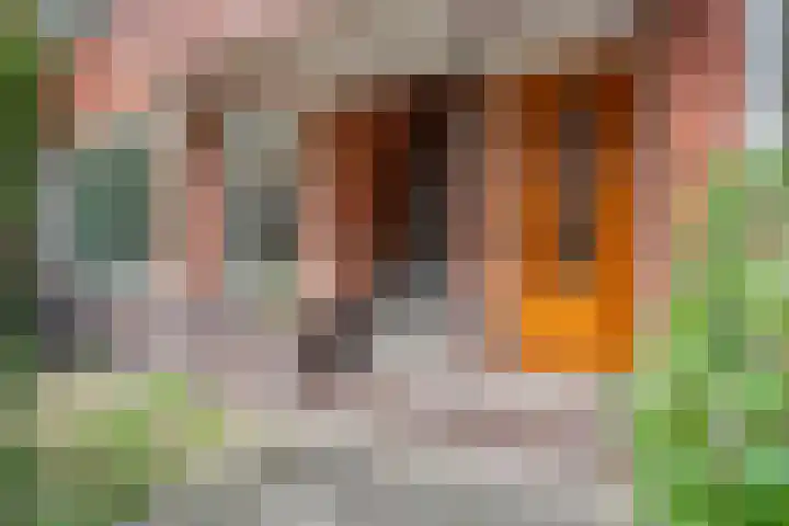 Tweede Willemstraat 56 Groningen thumbnail 7
