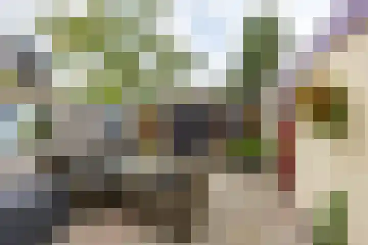Tweede Willemstraat 9 Groningen thumbnail 49