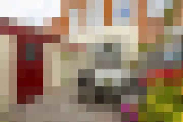 Tweede Willemstraat 9 Groningen thumbnail 50