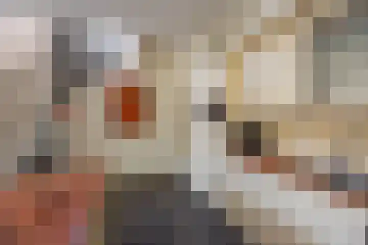 Tweede Willemstraat 9 Groningen thumbnail 8