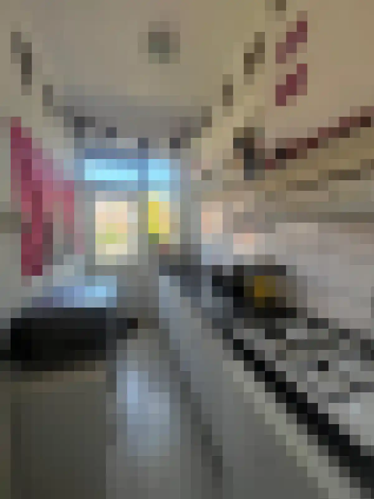 Tweede Willemstraat Groningen thumbnail 5
