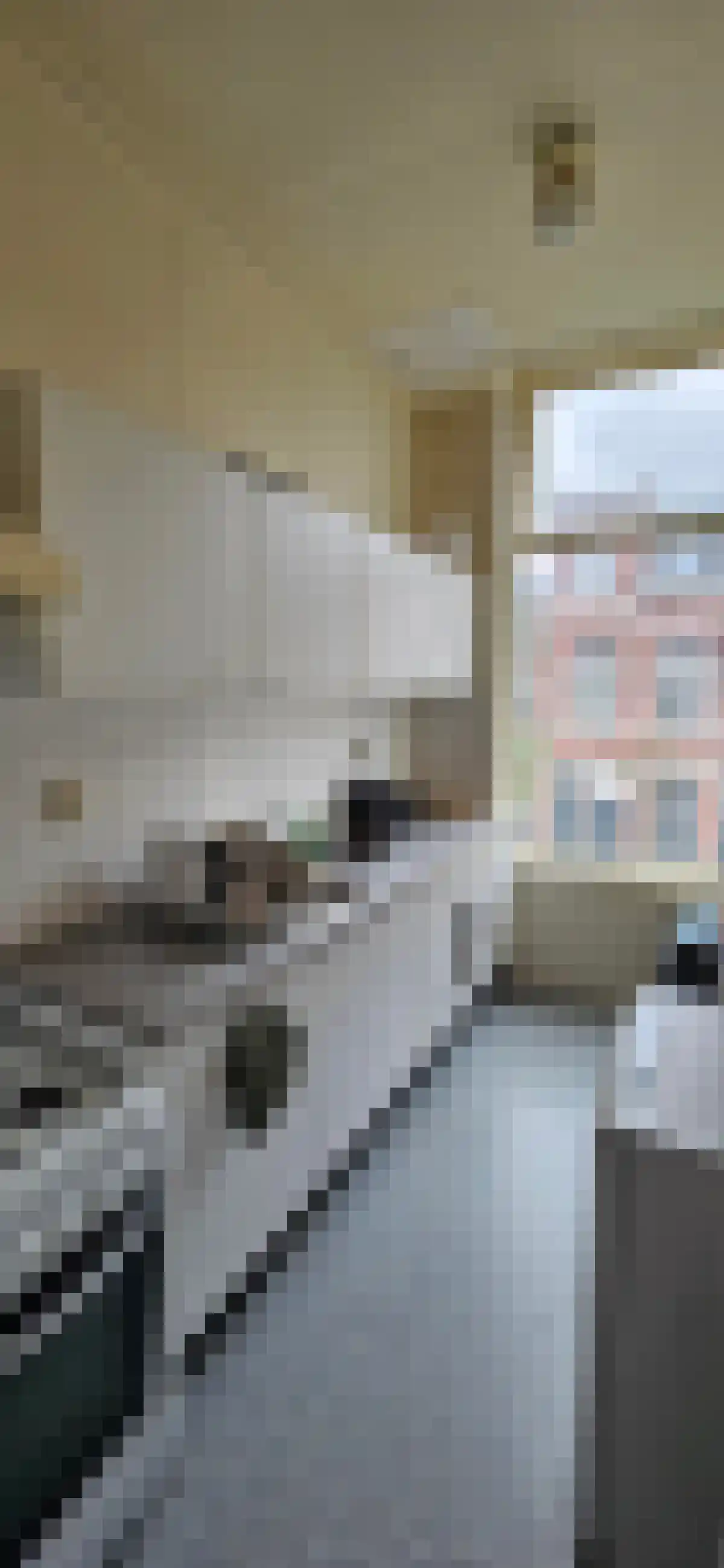 Tweede Willemstraat Groningen thumbnail 6