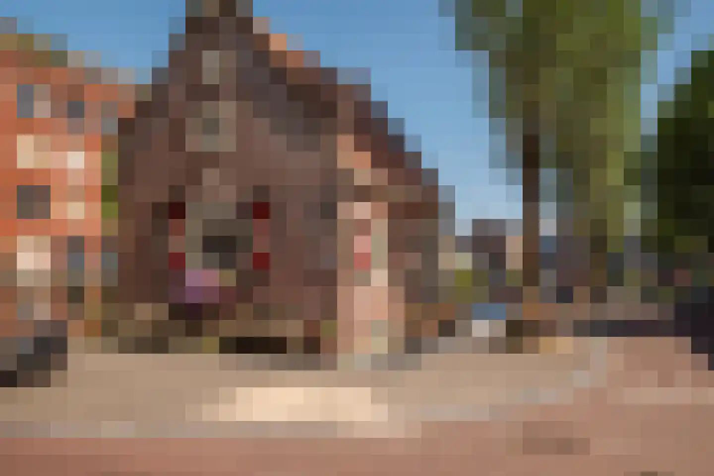 Tweede Wittenburgerdwarsstraat 23 Amsterdam thumbnail 34