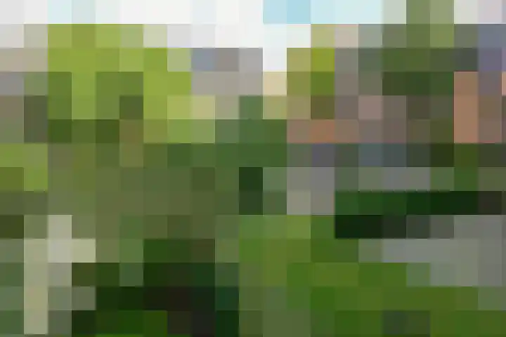 Tweede Wittenburgerdwarsstraat 35 Amsterdam thumbnail 17