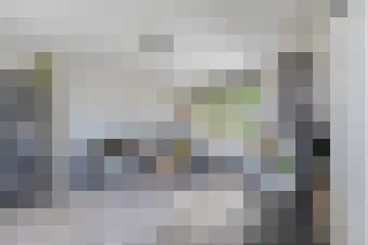 Tweede Zeine 46 Waalwijk thumbnail 12