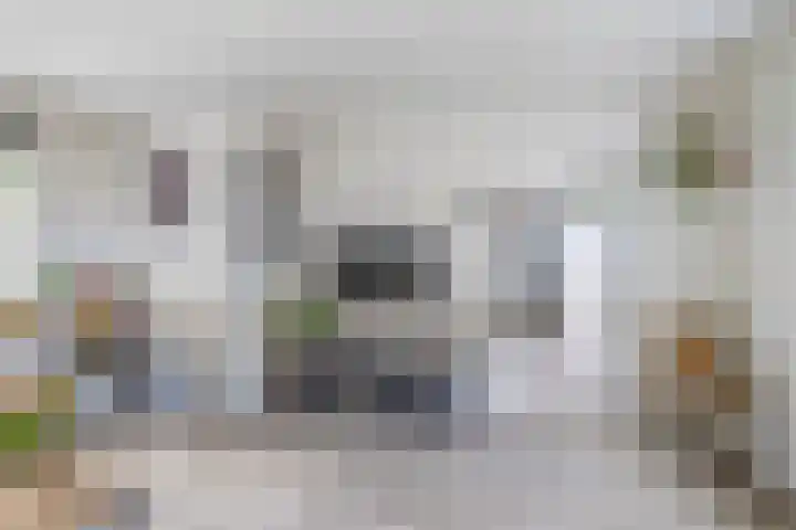 Tweede Zeine 46 Waalwijk thumbnail 14