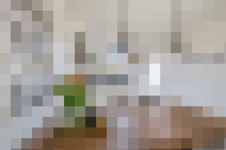 Tweede Zeine 46 Waalwijk thumbnail 16