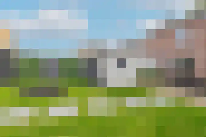 Tweede Zeine 46 Waalwijk thumbnail 29