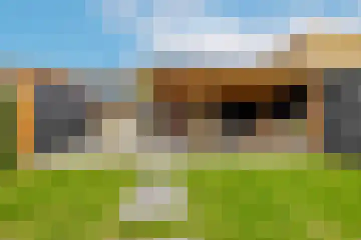 Tweede Zeine 46 Waalwijk thumbnail 30