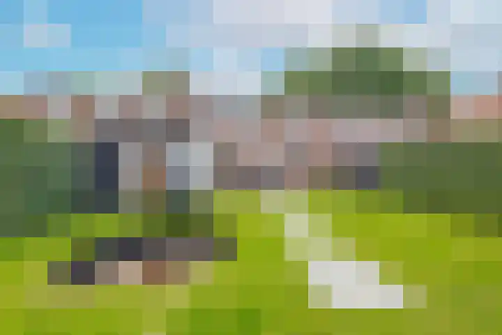 Tweede Zeine 46 Waalwijk thumbnail 31