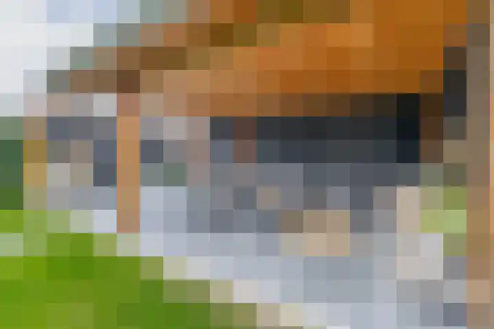 Tweede Zeine 46 Waalwijk thumbnail 33