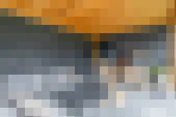 Tweede Zeine 46 Waalwijk thumbnail 35