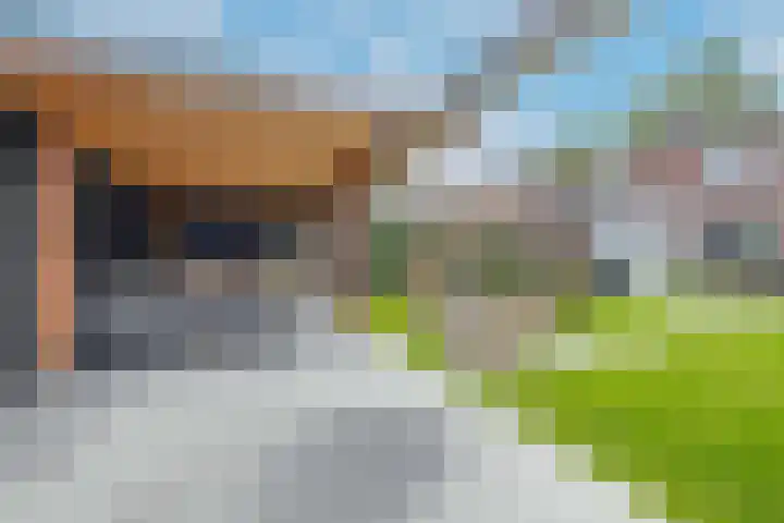Tweede Zeine 46 Waalwijk thumbnail 36