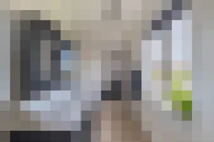 Tweede Zeine 46 Waalwijk thumbnail 40