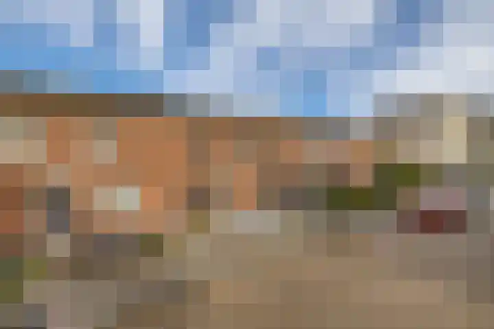 Tweede Zeine 46 Waalwijk thumbnail 5