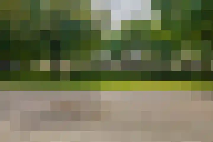 Tweede Zeine 46 Waalwijk thumbnail 7