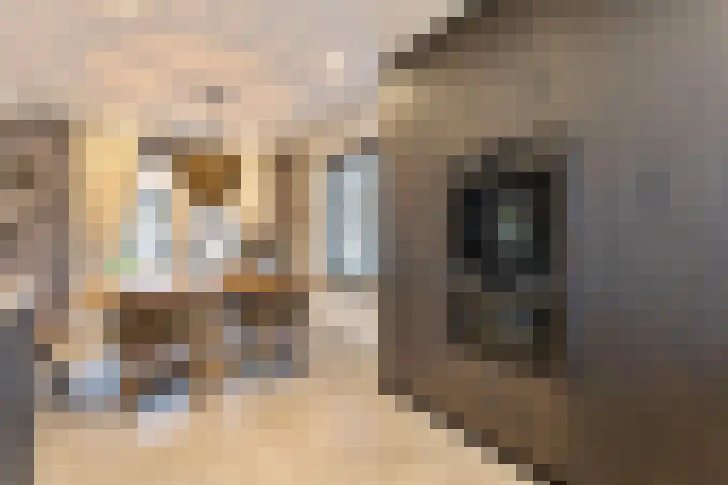 Tweede Zijweg 3 Mijdrecht thumbnail 29