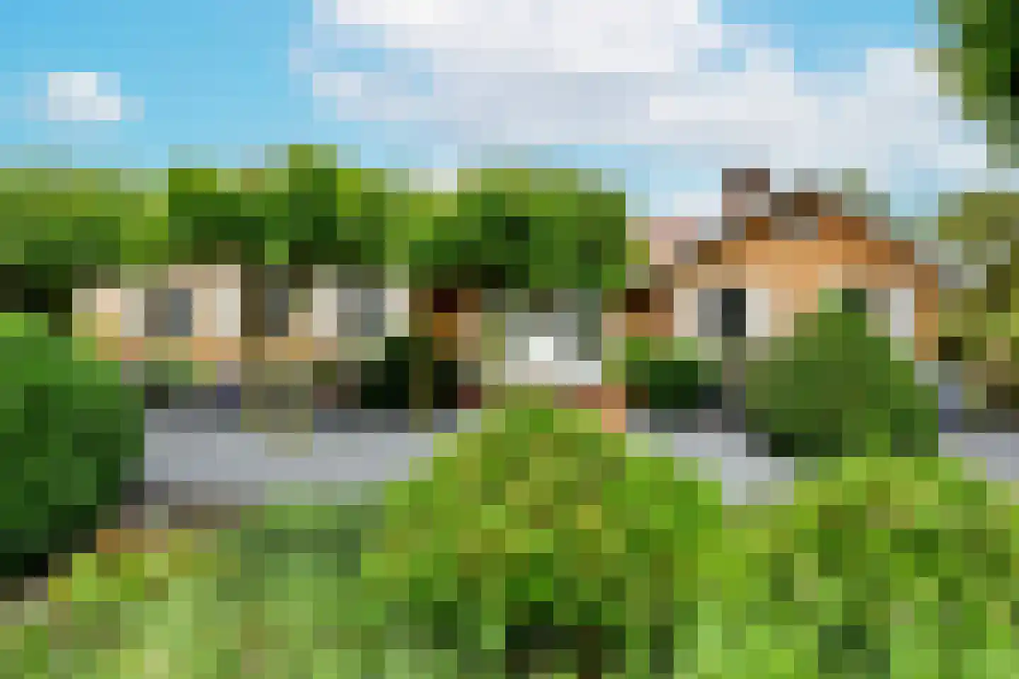 Tweede Zijweg 3 Mijdrecht foto 3