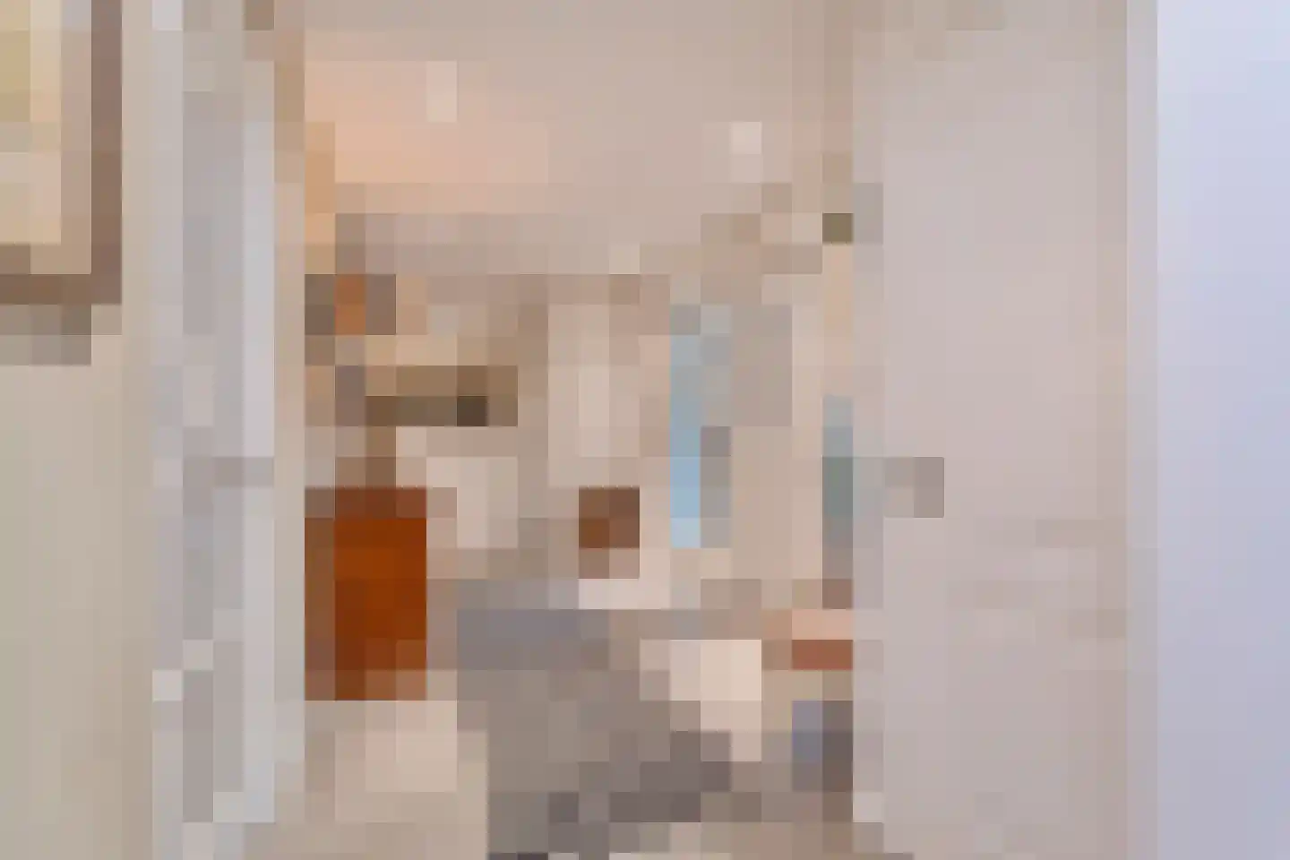 Tweede Zijweg 3 Mijdrecht thumbnail 36