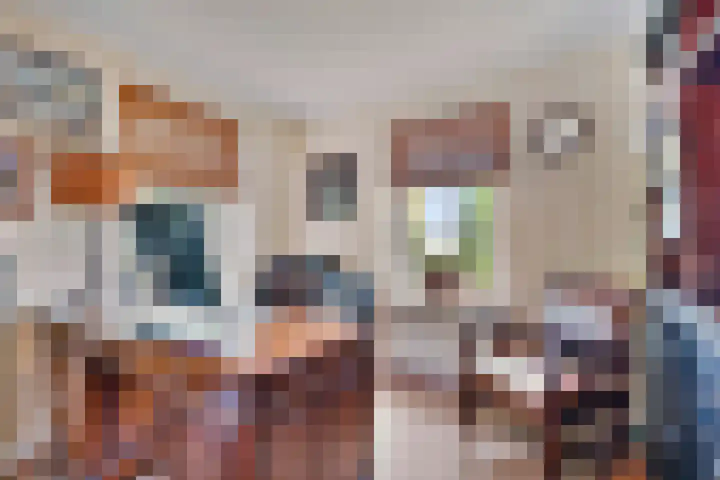 Tweede Zijweg 3 Mijdrecht thumbnail 37