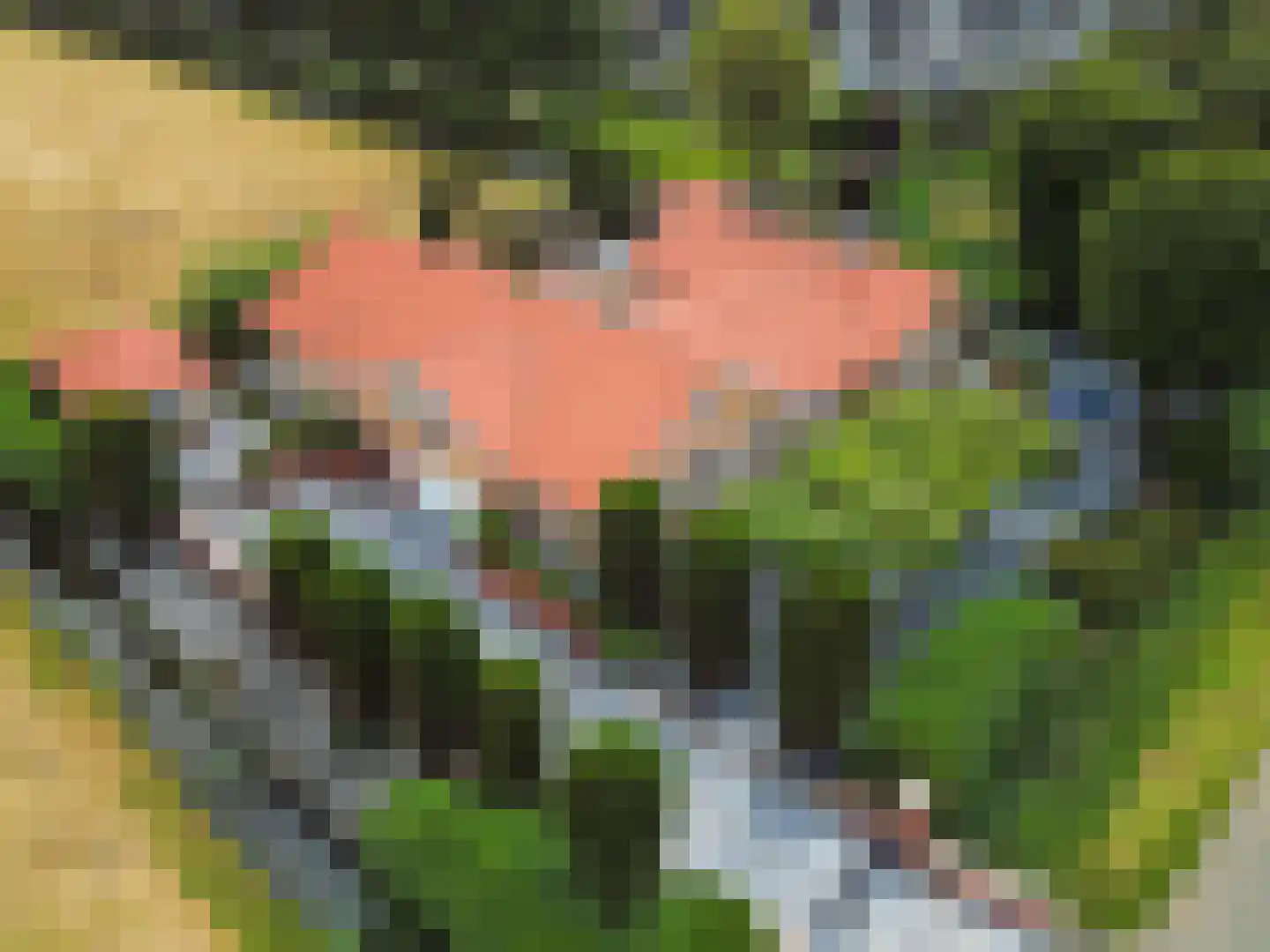 Tweede Zijweg 3 Mijdrecht thumbnail 4