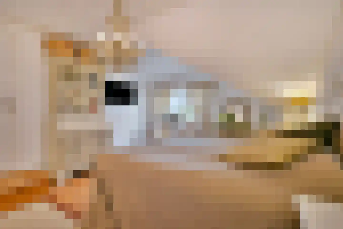 Tweede Zijweg 3 Mijdrecht thumbnail 41