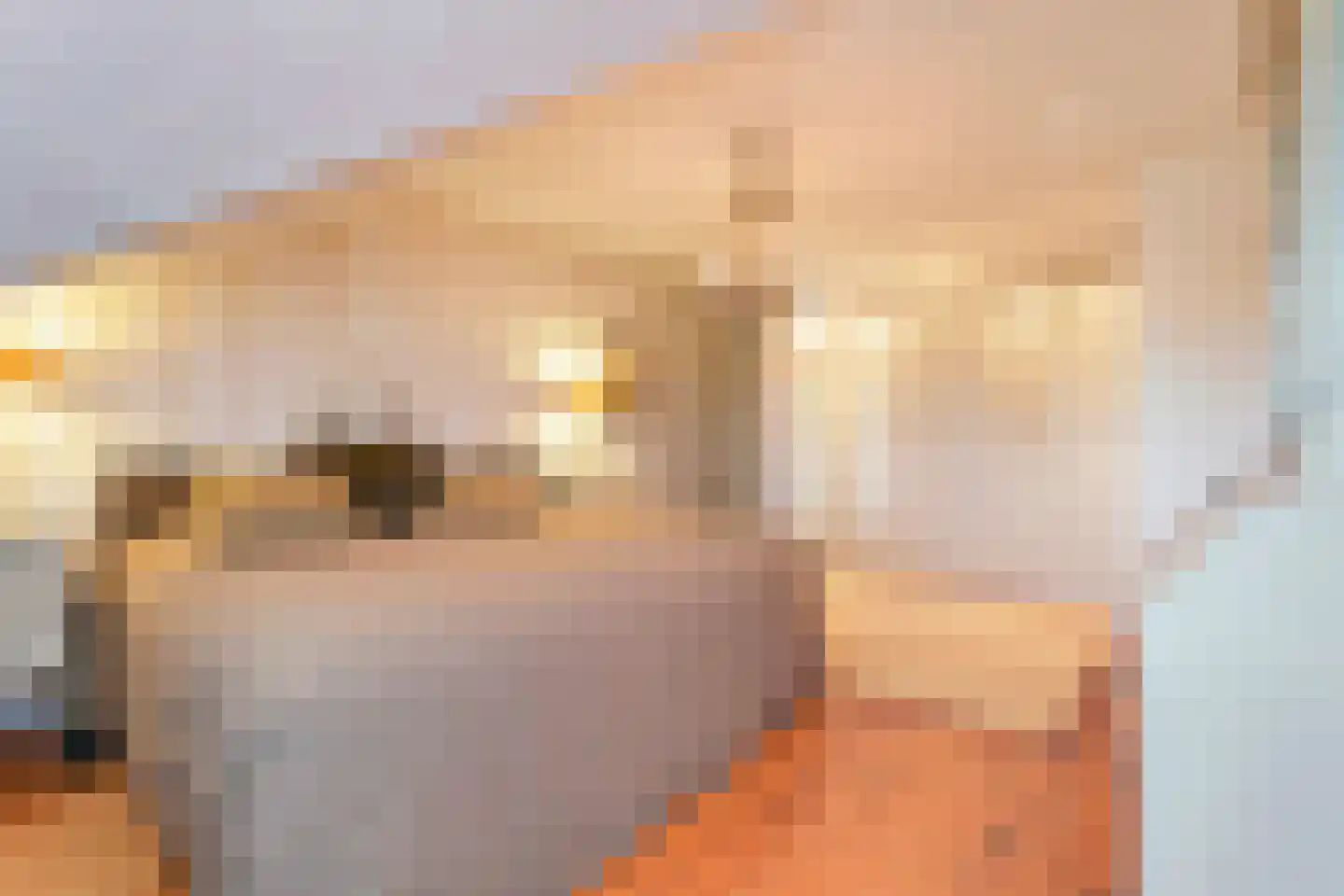 Tweede Zijweg 3 Mijdrecht thumbnail 42