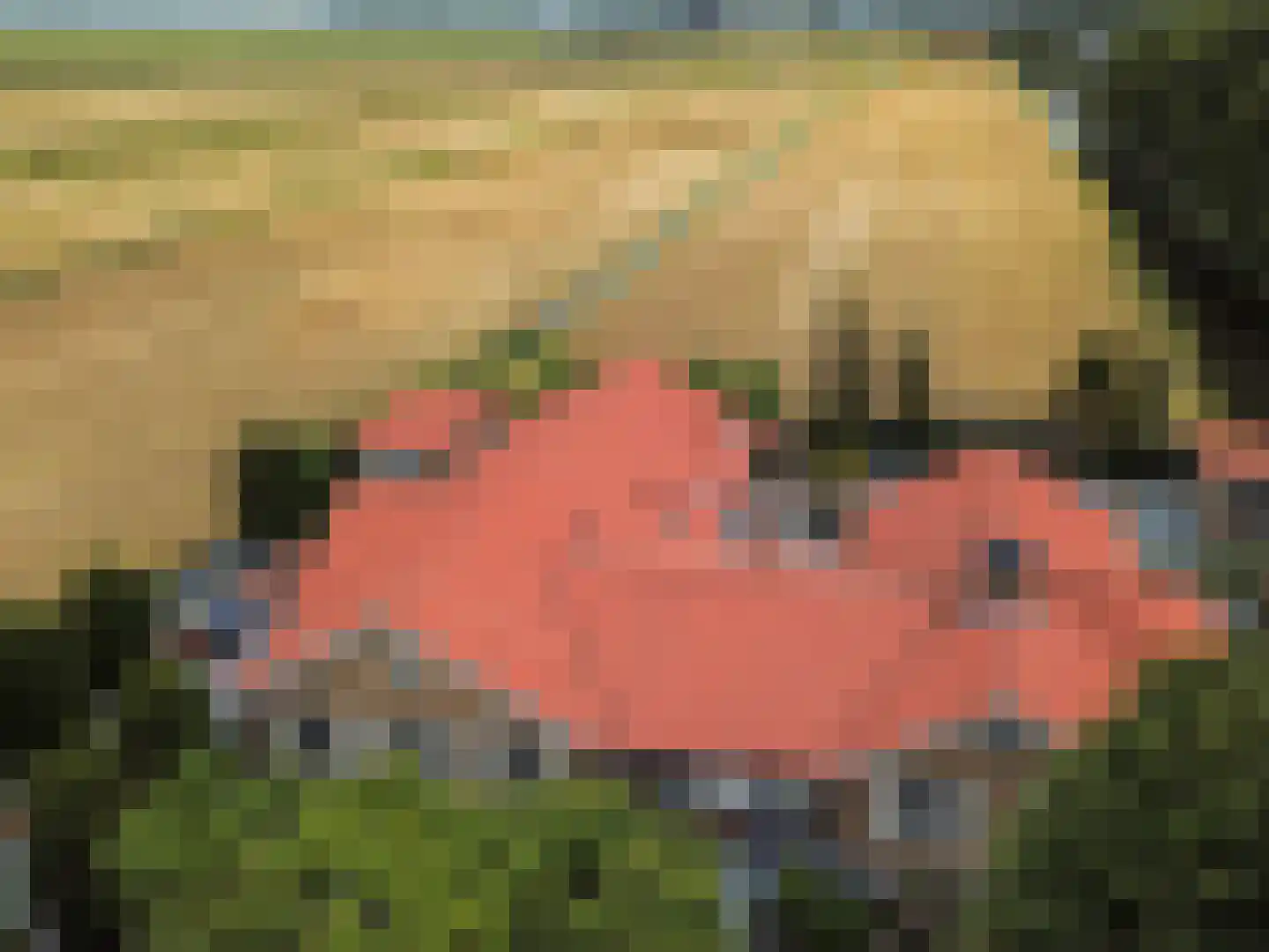 Tweede Zijweg 3 Mijdrecht thumbnail 5